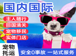 重庆仙女山航空空运国际宠物托运 【国